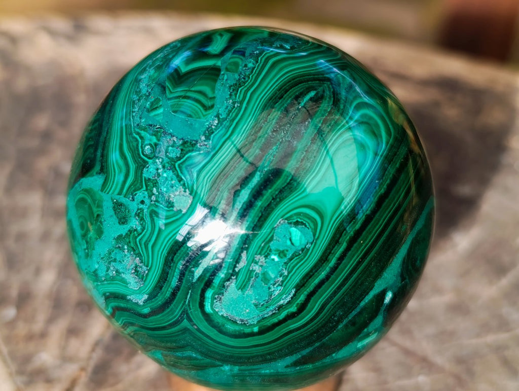 Polished Banded Flower Malachite Sphere x 1 From Congo