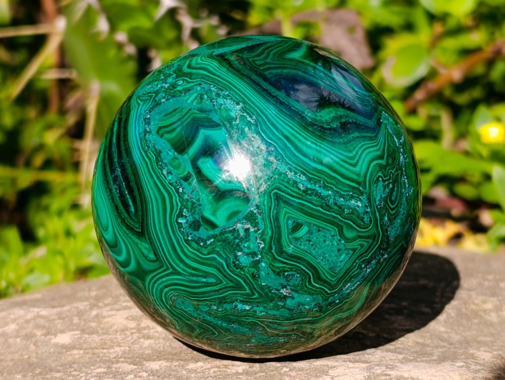 Polished Banded Flower Malachite Sphere x 1 From Congo