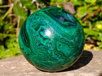 Polished Banded Flower Malachite Sphere x 1 From Congo
