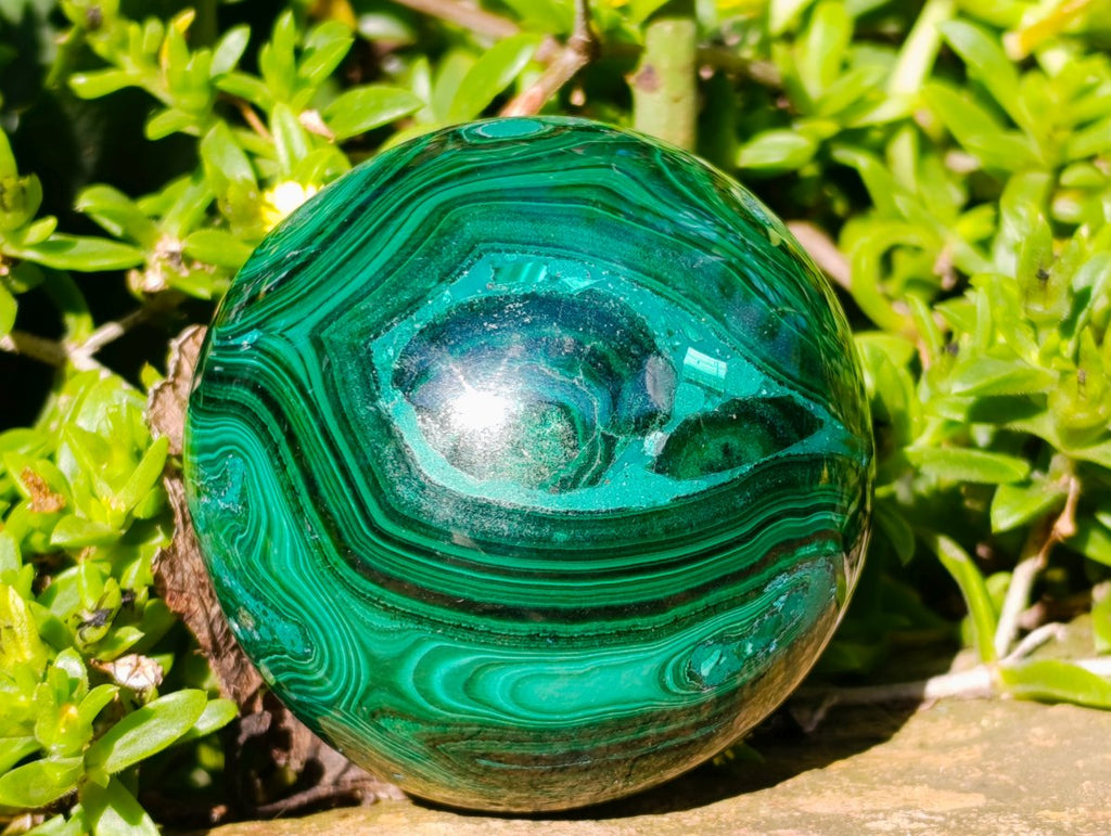 Polished Banded Flower Malachite Sphere x 1 From Congo