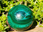 Polished Banded Flower Malachite Sphere x 1 From Congo