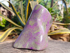Polished Stichtite Standing Free Form x 1 From Barberton South Africa