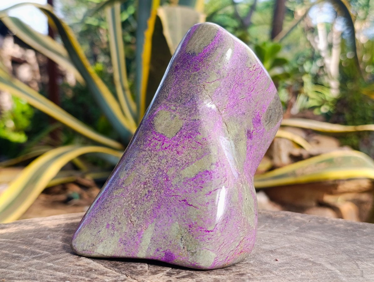 Polished Stichtite Standing Free Form x 1 From Barberton South Africa