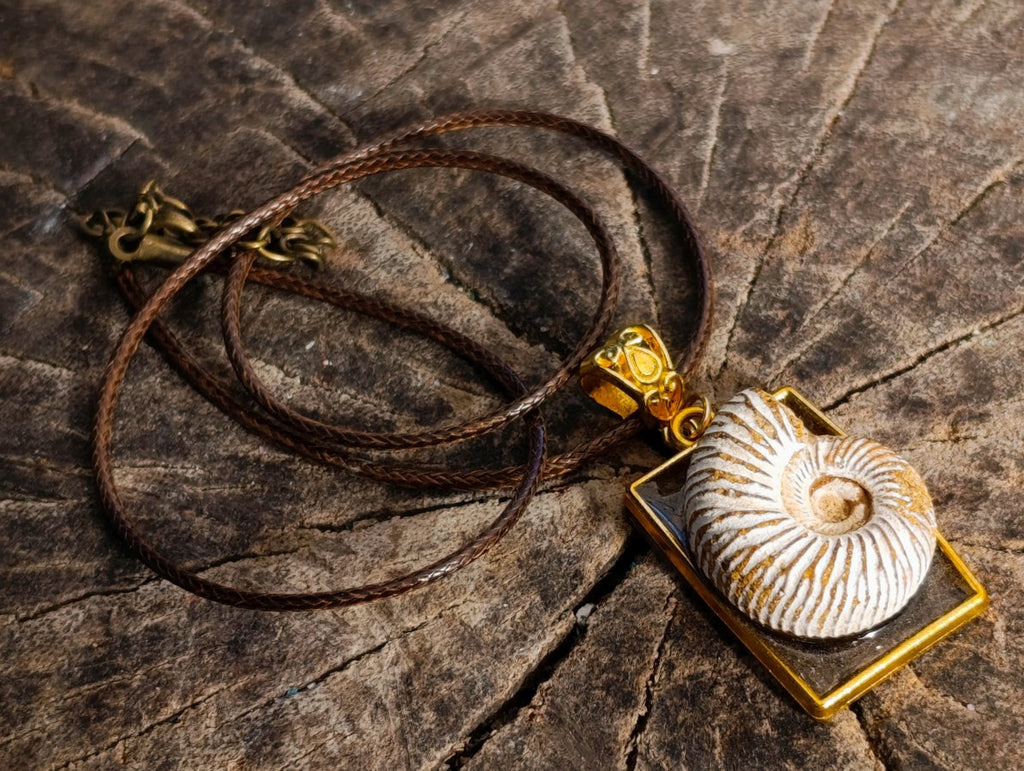 Handmade Natural Perisphinctid Ammonite Fossil Necklace x 1 From Madagascar