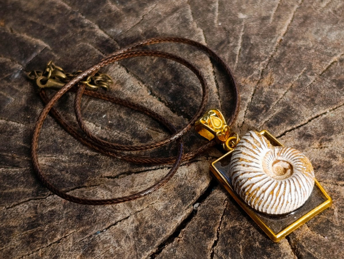 Handmade Natural Perisphinctid Ammonite Fossil Necklace x 1 From Madagascar