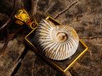Handmade Natural Perisphinctid Ammonite Fossil Necklace x 1 From Madagascar