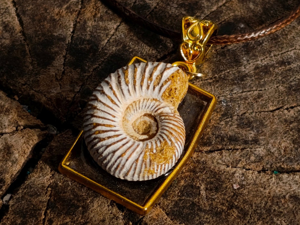Handmade Natural Perisphinctid Ammonite Fossil Necklace x 1 From Madagascar