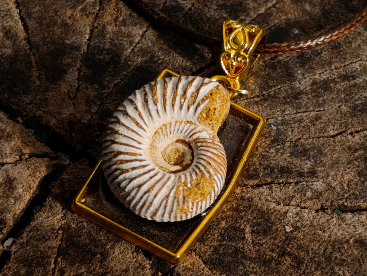 Handmade Natural Perisphinctid Ammonite Fossil Necklace x 1 From Madagascar