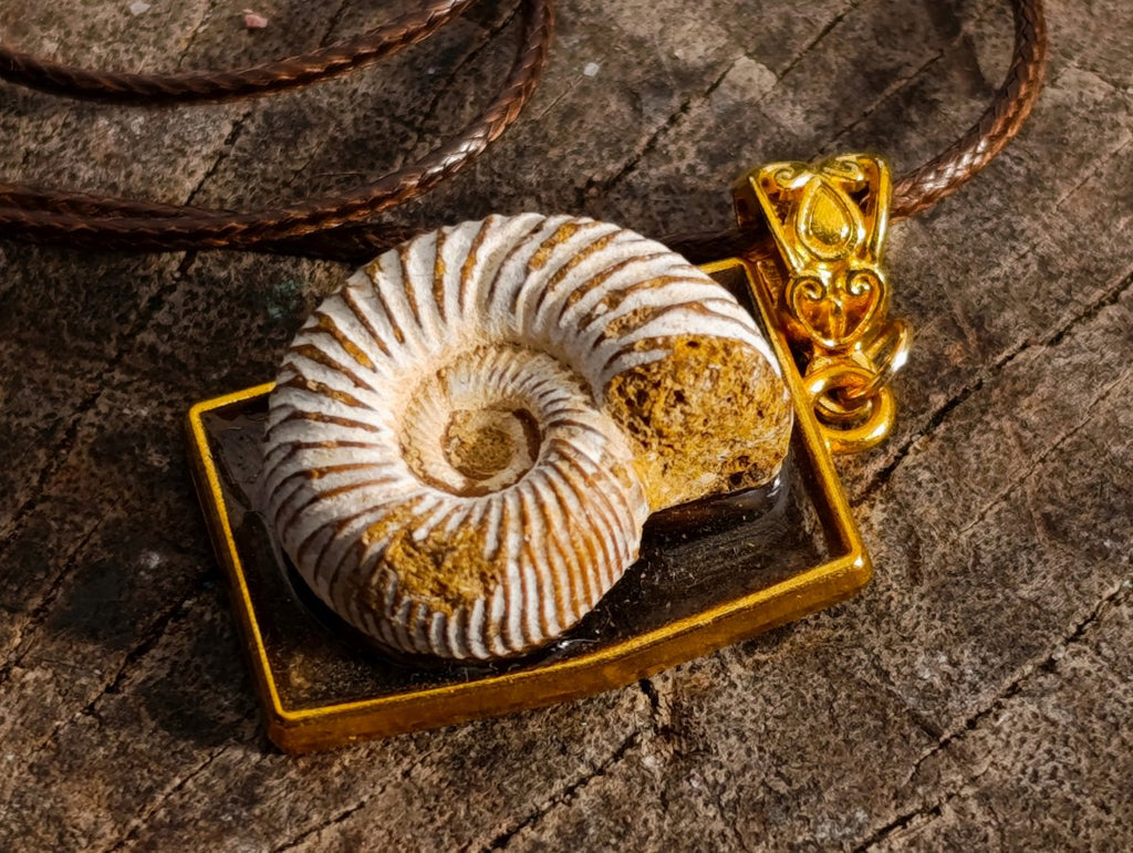 Handmade Natural Perisphinctid Ammonite Fossil Necklace x 1 From Madagascar