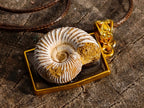 Handmade Natural Perisphinctid Ammonite Fossil Necklace x 1 From Madagascar