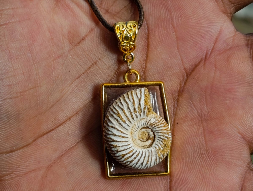 Handmade Natural Perisphinctid Ammonite Fossil Necklace x 1 From Madagascar