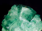 Natural Green Cubic Fluorite Crystal Specimen x 1 From Mandrosonoro Madagascar