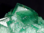 Natural Green Cubic Fluorite Crystal Specimen x 1 From Mandrosonoro Madagascar