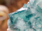 Natural Green Cubic Fluorite Crystal Specimen x 1 From Mandrosonoro Madagascar