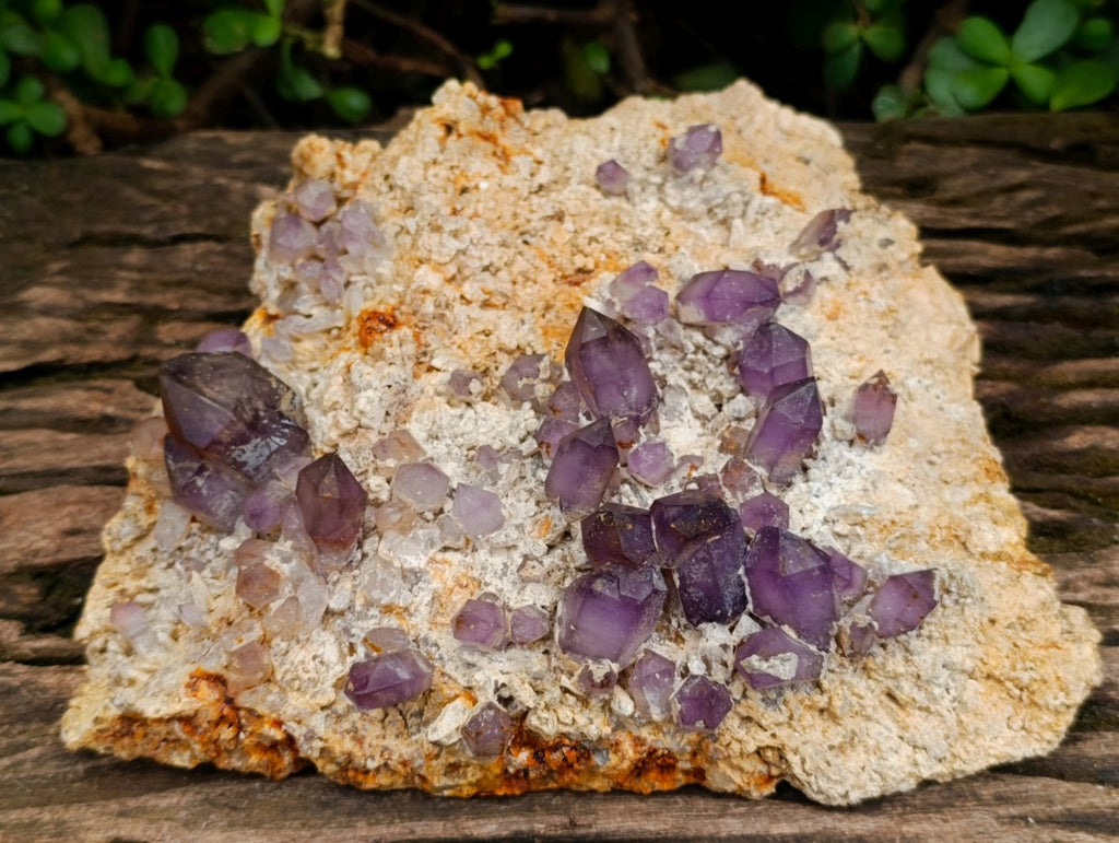 Natural Large Amethyst Crystal Plate Specimen x 1 From Brandberg, Namibia