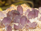 Natural Large Amethyst Crystal Plate Specimen x 1 From Brandberg, Namibia