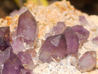 Natural Large Amethyst Crystal Plate Specimen x 1 From Brandberg, Namibia