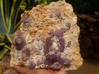 Natural Large Amethyst Crystal Plate Specimen x 1 From Brandberg, Namibia