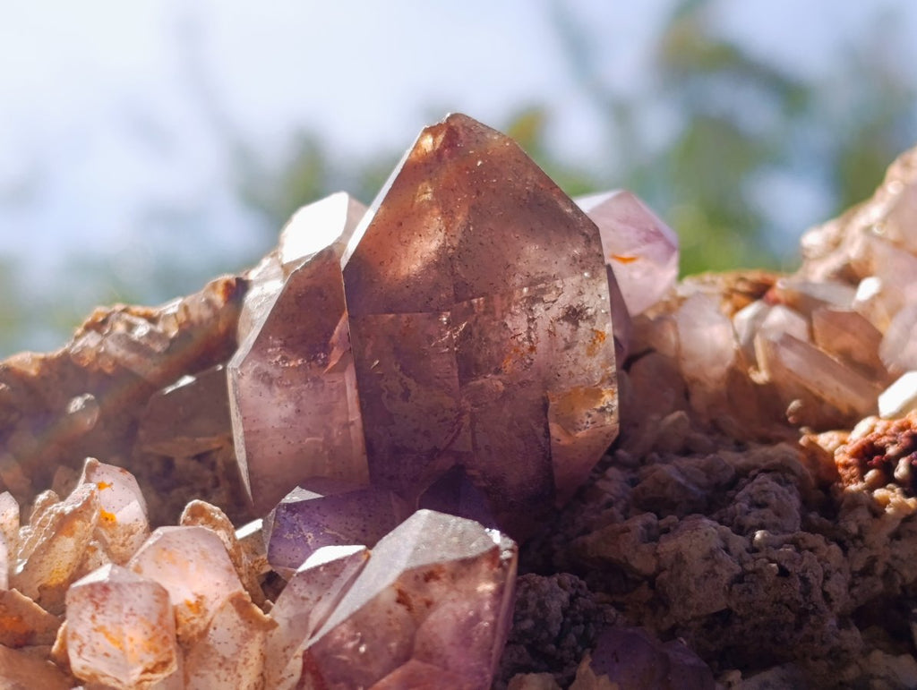 Natural Large Amethyst Crystal Plate Specimen x 1 From Brandberg, Namibia
