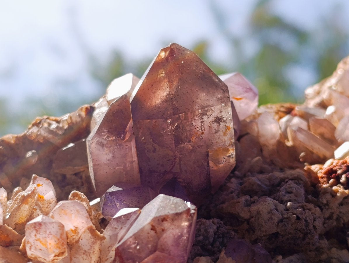 Natural Large Amethyst Crystal Plate Specimen x 1 From Brandberg, Namibia