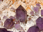 Natural Large Amethyst Crystal Plate Specimen x 1 From Brandberg, Namibia