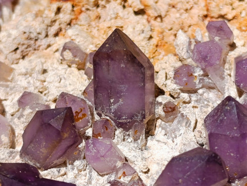 Natural Large Amethyst Crystal Plate Specimen x 1 From Brandberg, Namibia