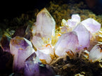 Natural Large Amethyst Crystal Plate Specimen x 1 From Brandberg, Namibia