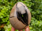 Polished Septerye "Dragons Egg" with Gypsum Crystals x 1 From Mahajanga, Madagascar