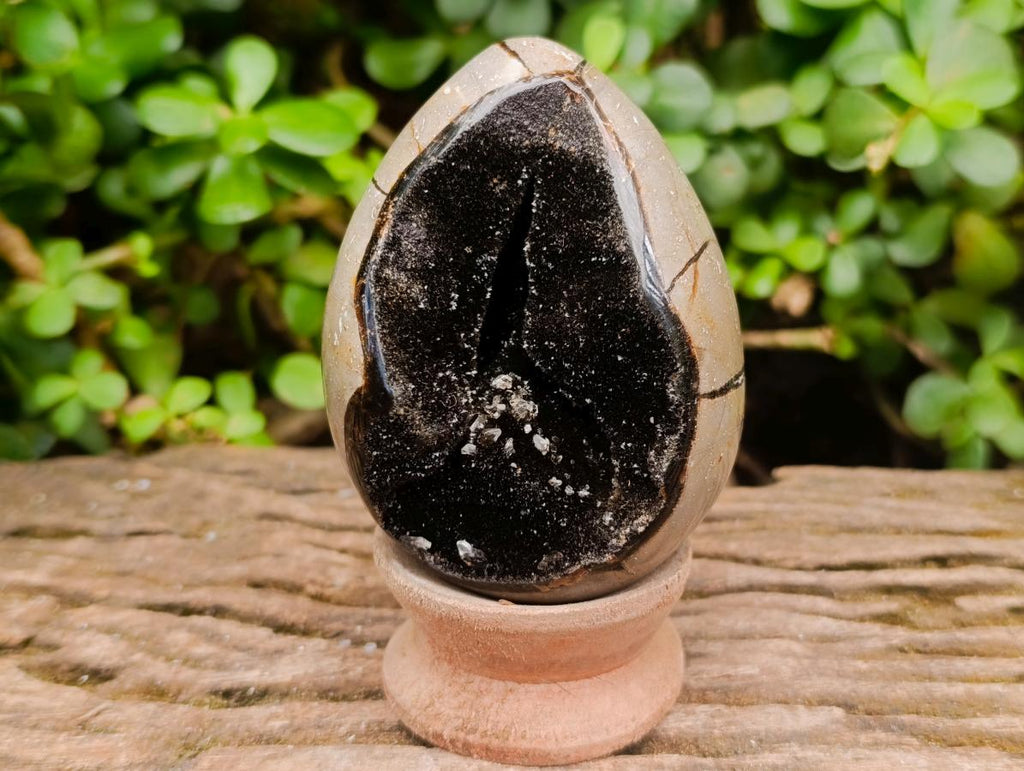 Polished Septerye "Dragons Egg" with Gypsum Crystals x 1 From Mahajanga, Madagascar