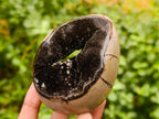 Polished Septerye "Dragons Egg" with Gypsum Crystals x 1 From Mahajanga, Madagascar