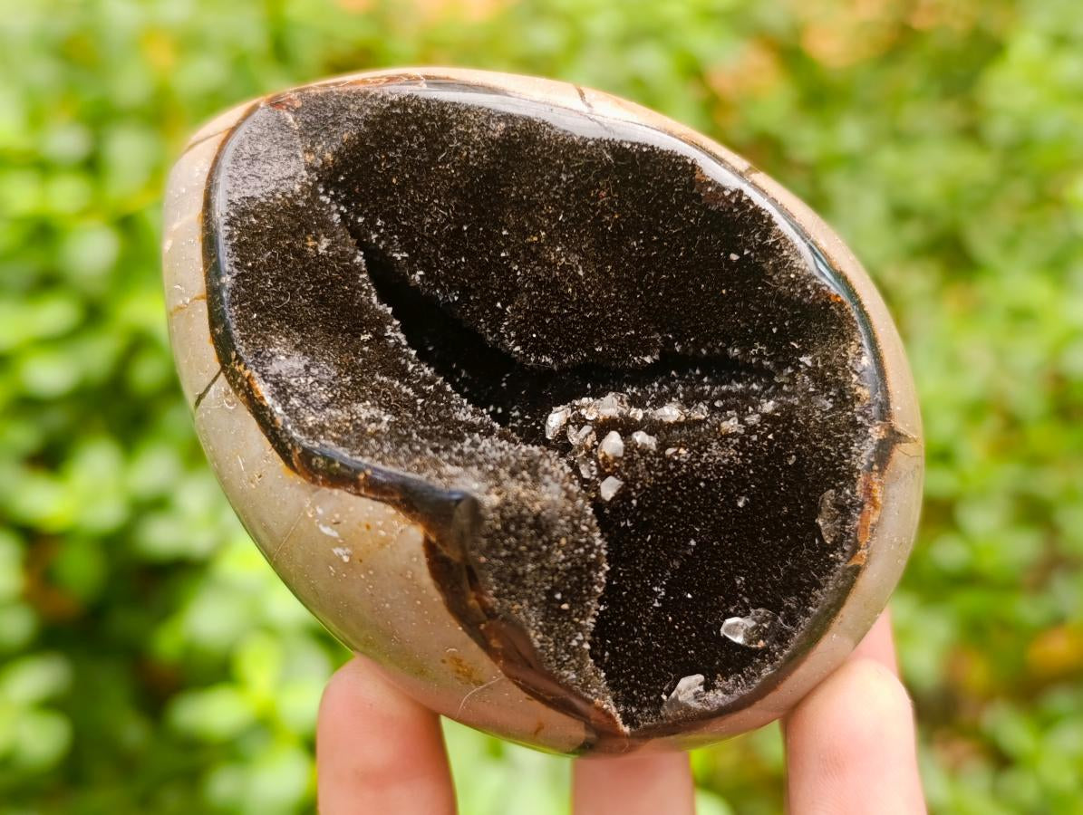 Polished Septerye "Dragons Egg" with Gypsum Crystals x 1 From Mahajanga, Madagascar