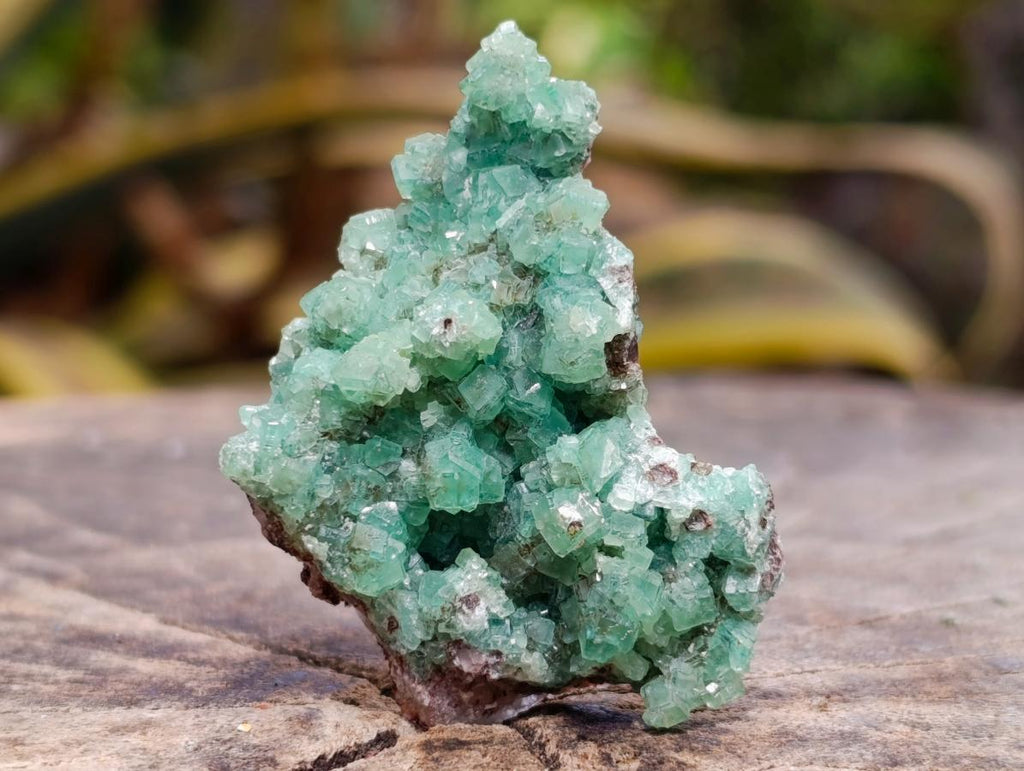 Natural Ultra Rare Green Tsumeb Smithsonite Specimen x 1 From Tsumeb, Namibia