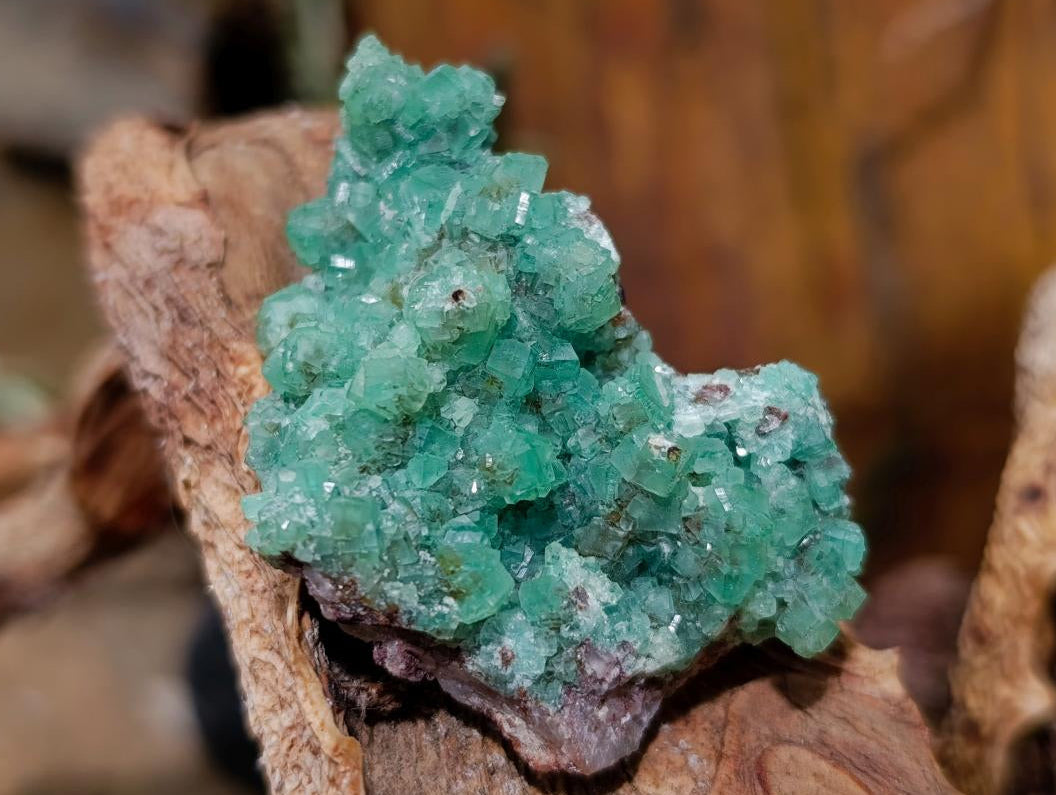 Natural Ultra Rare Green Tsumeb Smithsonite Specimen x 1 From Tsumeb, Namibia