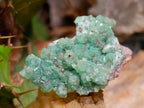 Natural Ultra Rare Green Tsumeb Smithsonite Specimen x 1 From Tsumeb, Namibia