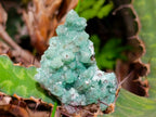 Natural Ultra Rare Green Tsumeb Smithsonite Specimen x 1 From Tsumeb, Namibia