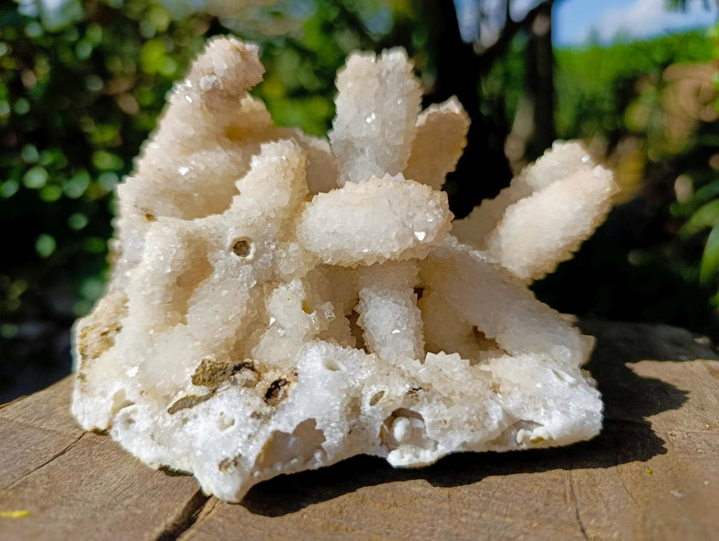 Natural Large Lesotho Snow Quartz Finger Cluster x 1 From Albert's Mountain