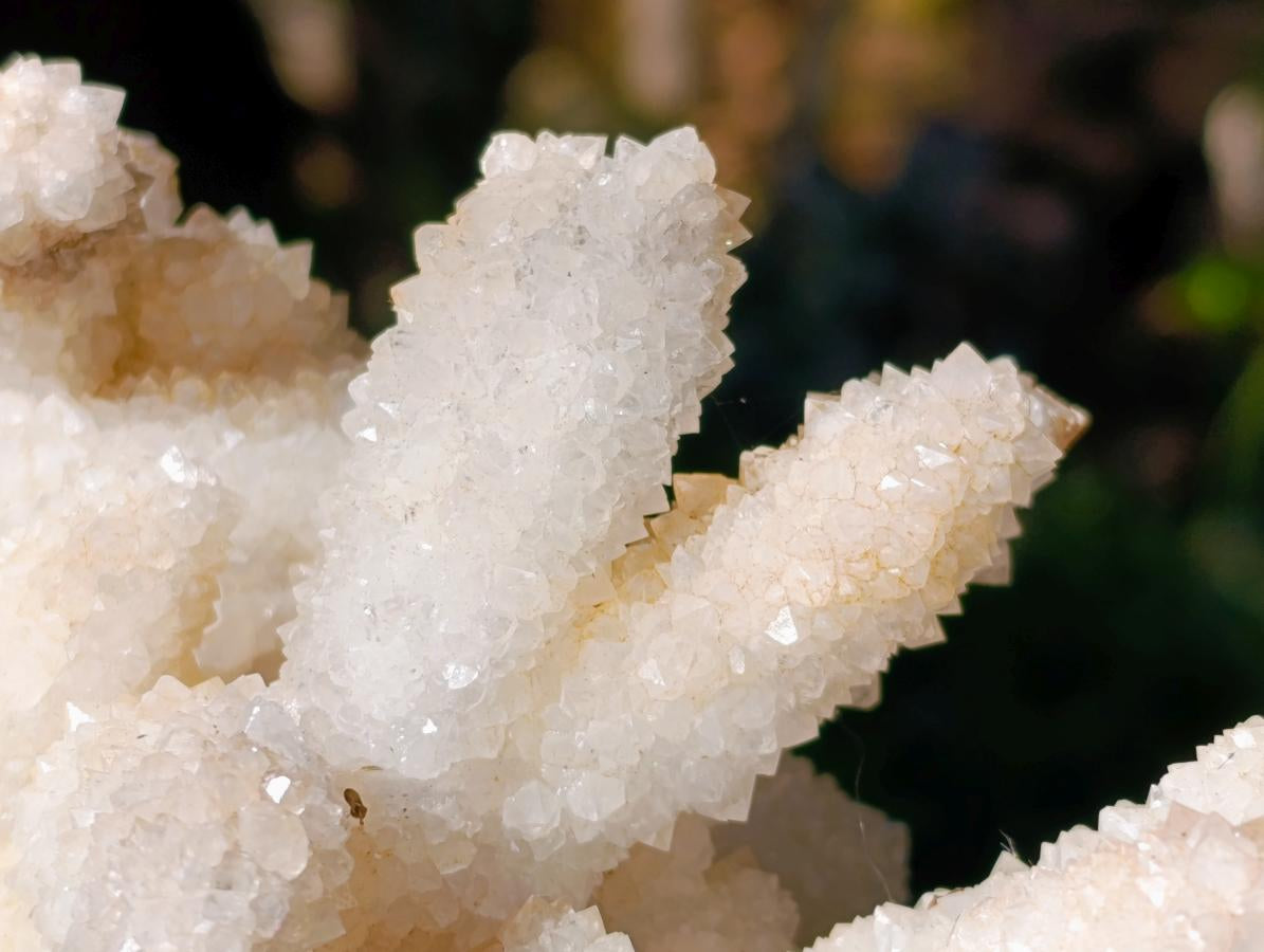 Natural Large Lesotho Snow Quartz Finger Cluster x 1 From Albert's Mountain