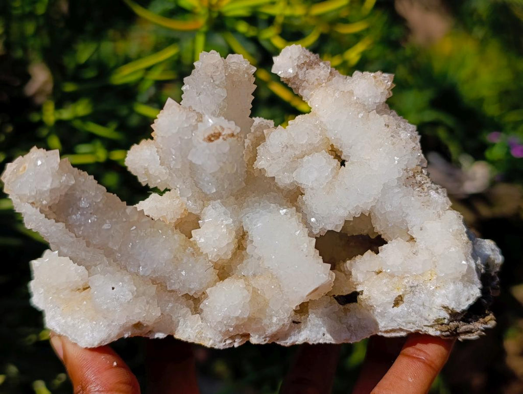 Natural Large Lesotho Snow Quartz Finger Cluster x 1 From Albert's Mountain