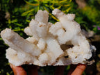Natural Large Lesotho Snow Quartz Finger Cluster x 1 From Albert's Mountain