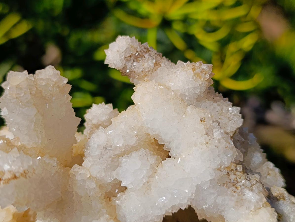 Natural Large Lesotho Snow Quartz Finger Cluster x 1 From Albert's Mountain