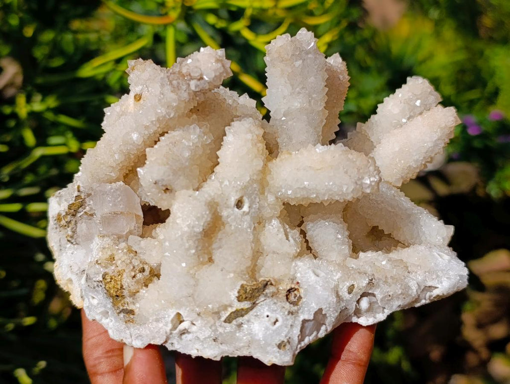 Natural Large Lesotho Snow Quartz Finger Cluster x 1 From Albert's Mountain