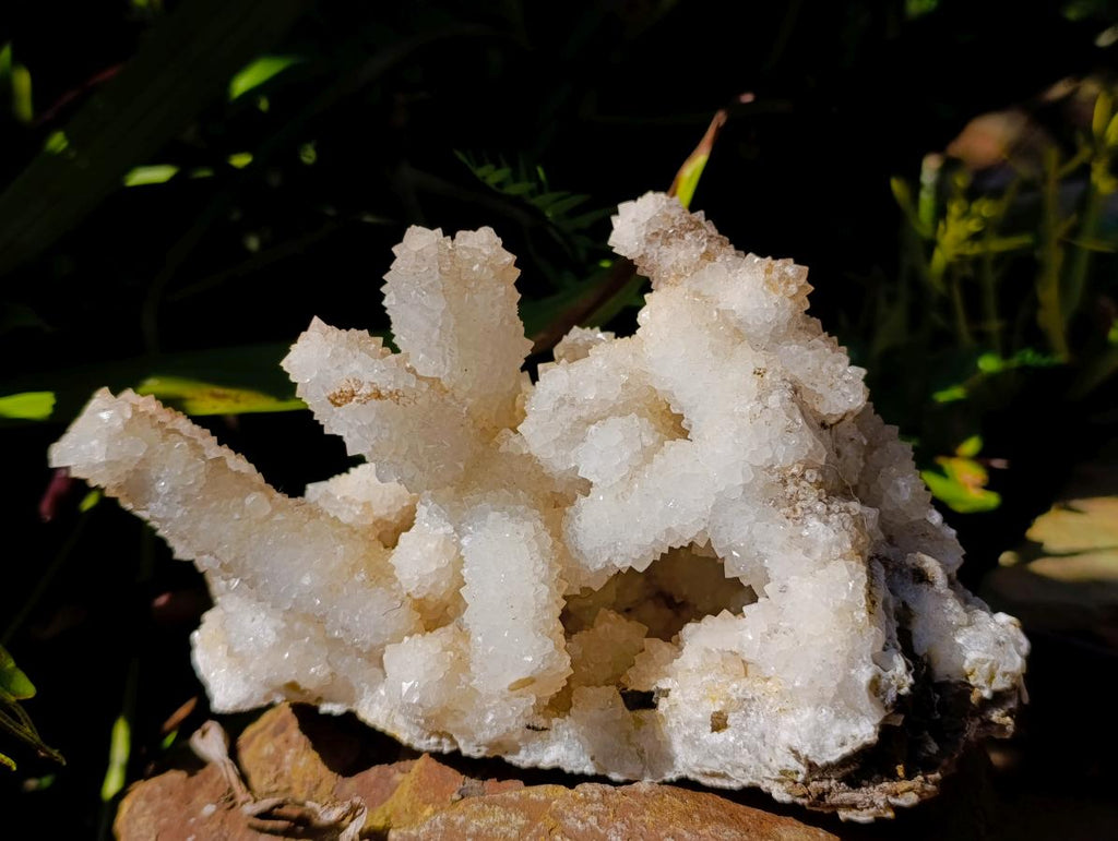 Natural Large Lesotho Snow Quartz Finger Cluster x 1 From Albert's Mountain