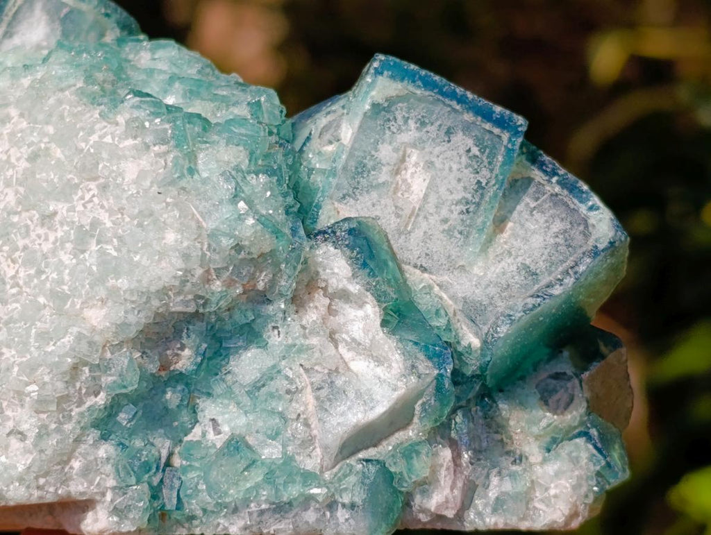 Natural Green Cubic Fluorite Crystal Specimen x 1 From Mandrosonoro Madagascar