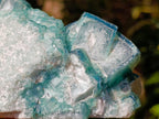 Natural Green Cubic Fluorite Crystal Specimen x 1 From Mandrosonoro Madagascar