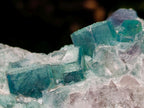 Natural Green Cubic Fluorite Crystal Specimen x 1 From Mandrosonoro Madagascar