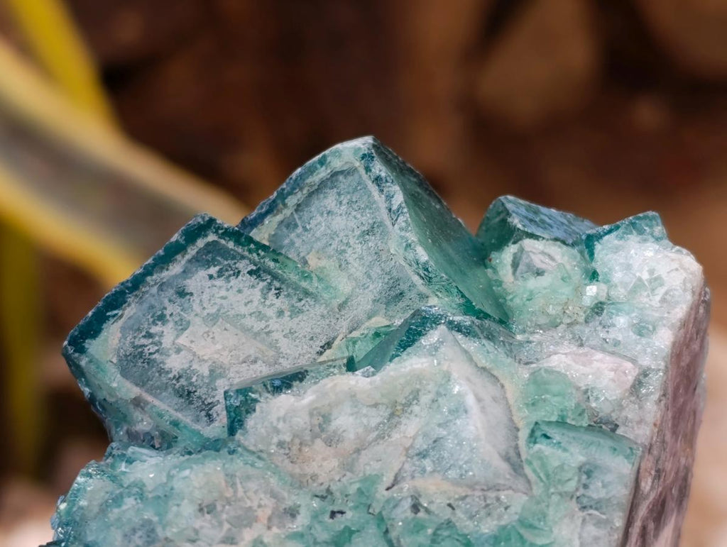 Natural Green Cubic Fluorite Crystal Specimen x 1 From Mandrosonoro Madagascar
