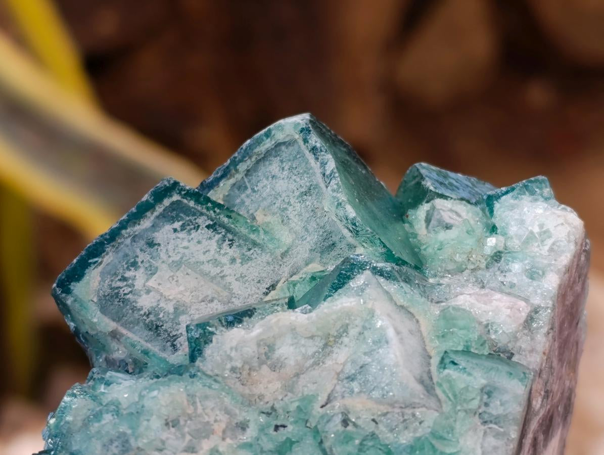 Natural Green Cubic Fluorite Crystal Specimen x 1 From Mandrosonoro Madagascar