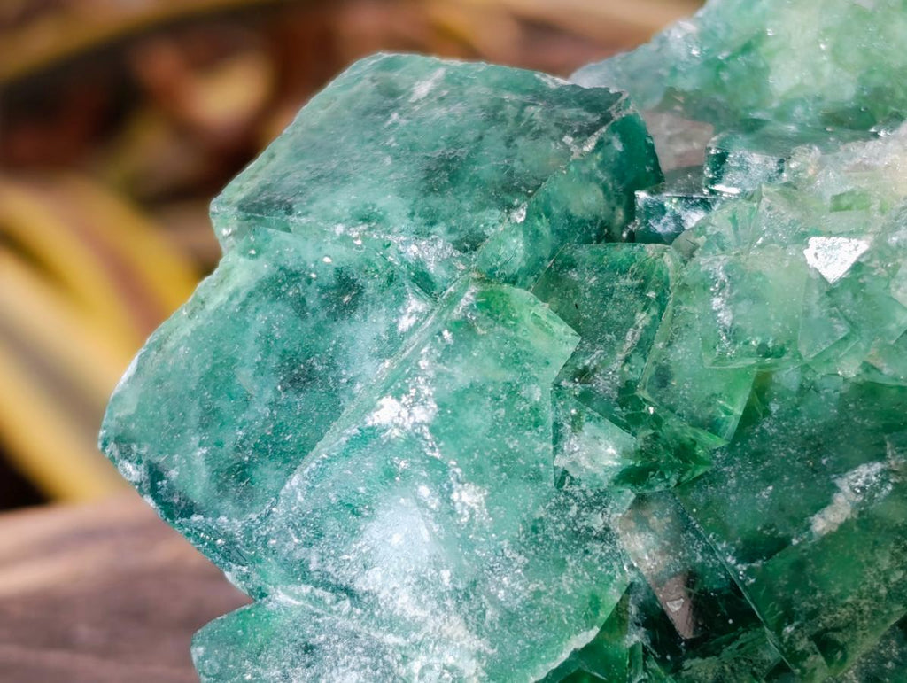 Natural Green Cubic Fluorite Crystal Specimen x 1 From Mandrosonoro Madagascar