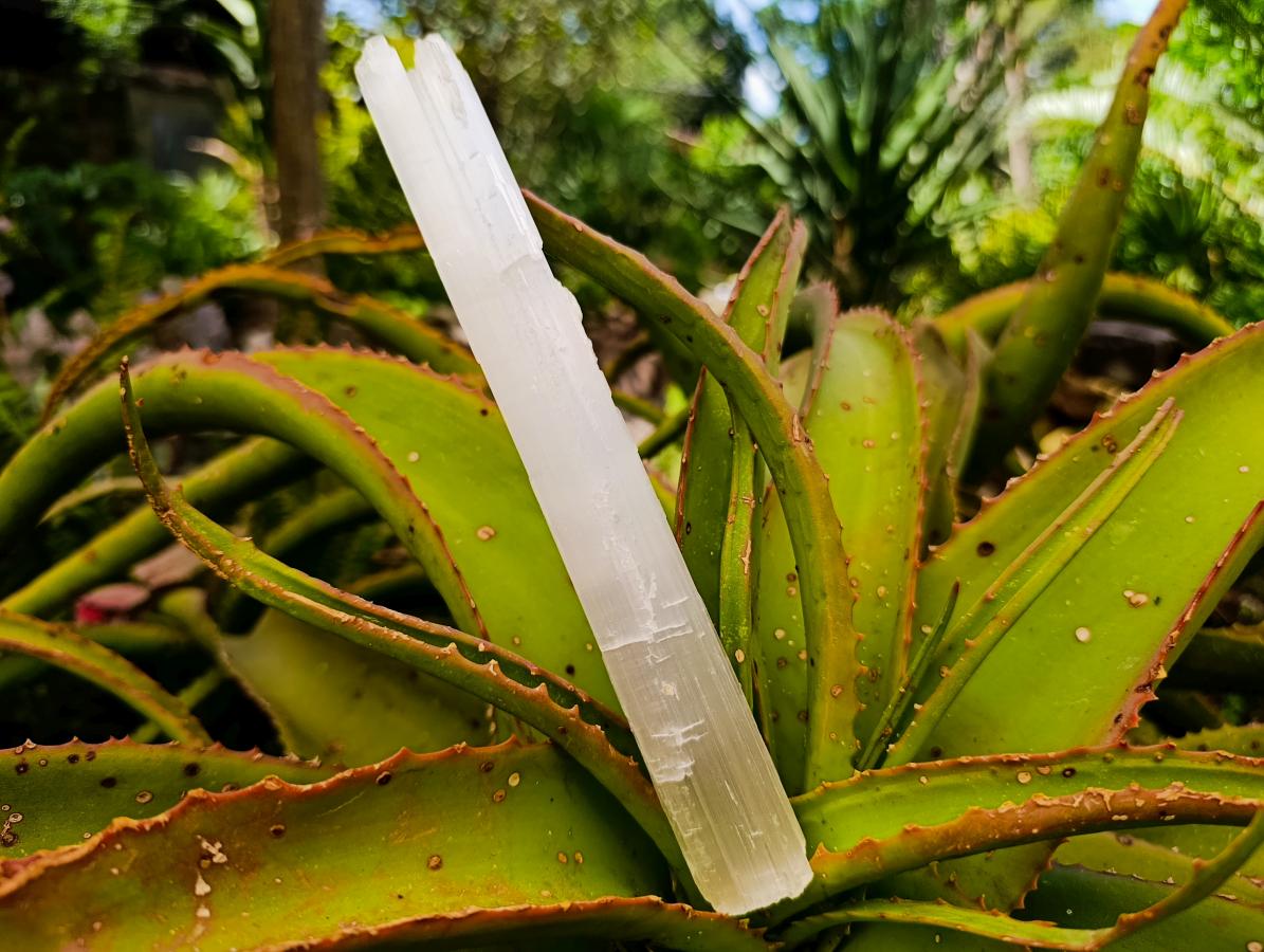 Natural White Selenite Crystal Wand x 1 From China