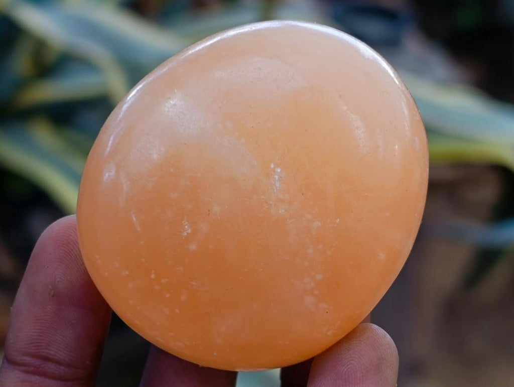 Polished Orange Twist Calcite Palm Stone Bouquet Basket of 8 Pieces x 1 From Madagascar